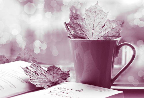 扎根生活沃土，绽放文艺之花——谈记叙文写作的“接地气”与文艺创作